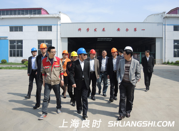 上海奉贤区党委领导与上海良时生产部负责人进行交谈